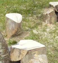 Detail of a site specific outdoor sculpture made out of firewood and dead trees by Sen McGlinn + Sonja van Kerkhoff at the 2013 Tahora High-country International Sculpture showing the seat surfaces.