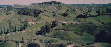 Overview of the farm and surroundings in Tahora, Taranaki, Aotearoa / New Zealand