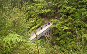 Bridge to Nowhere, Whanganui River, 2010